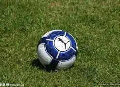 布莱顿誓守,巴莱巴至夏,除非冬日巨,拼搏体育,(PINBO,SPORT),Pinbo拼搏体育官网,Pinbo拼搏体育在线,Pinbo拼搏体育平台